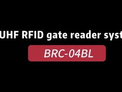 BRC-04BL ফ্রেম UHF RFID পোর্টাল রিডার / RFID গেট অ্যাক্সেস কন্ট্রোল সিস্টেম