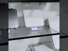 BRD-KH02 লং রেঞ্জ UHF RFID রিডার / UHF RFID ইন্টিগ্রেটেড রিডার সহ 6dbi অ্যান্টেনা রিড ডিসটেন্স 6M